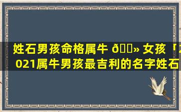 姓石男孩命格属牛 🌻 女孩「2021属牛男孩最吉利的名字姓石」